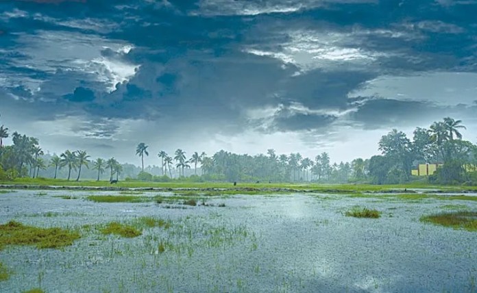 monsoon andhra
