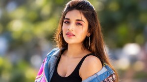 Nidhhi Agerwal: తెలుగబ్బాయినే పెళ్లి చేసుకుంటారా? నిధి అగర్వాల్ ఆసక్తికర సమాధానం.. నేను కూడా తెలుగమ్మాయినే అంటూ కామెంట్స్!